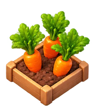 Ripe carrots ready to harvest